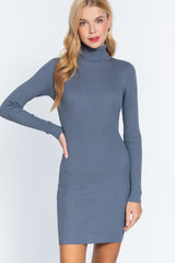 Turtle Neck Sewater Mini Dress